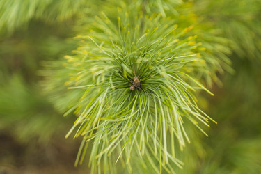 Similar image 11424716