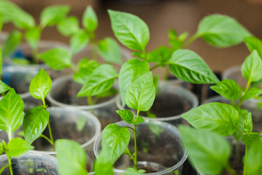 Similar image 11424719