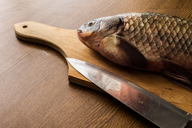 Similar image 11424527