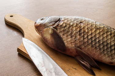 Similar image 11424528