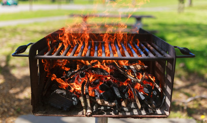 Similar image 11424741