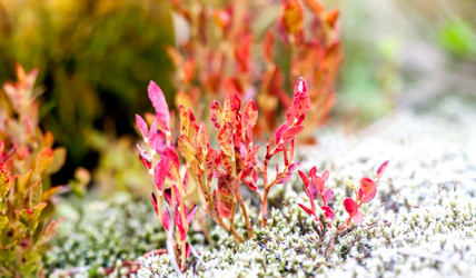 Similar image 11427254