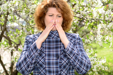 Similar image 11424892