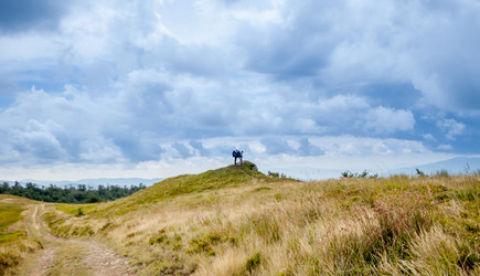 Similar image 11427256