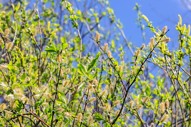 Similar image 11424536