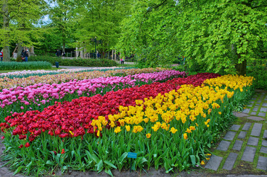 Similar image 11428365