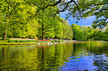 Similar image 11428505