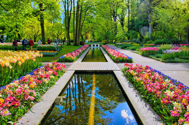 Similar image 11428412