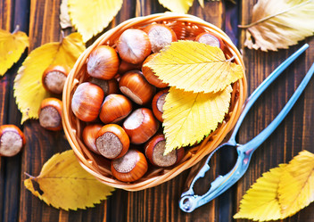 Similar image 11431402