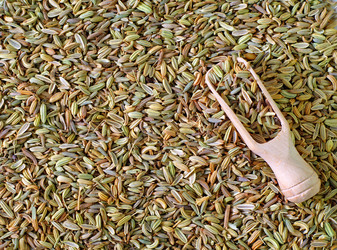 Similar image 11431441