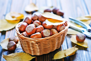 Similar image 11428685