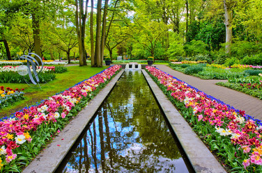 Similar image 11428406