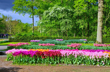 Similar image 11428551