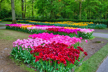 Similar image 11428553