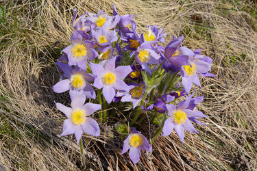 Similar image 11424503