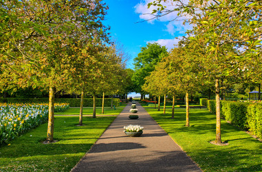 Similar image 11428418