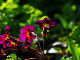 Similar image 11424614