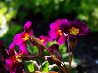 Similar image 11424615