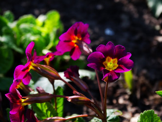 Similar image 11424632