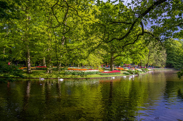 Similar image 11428411