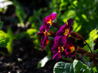 Similar image 11424634