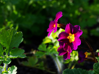 Similar image 11424635