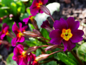 Similar image 11424636