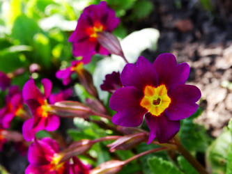 Similar image 11424637