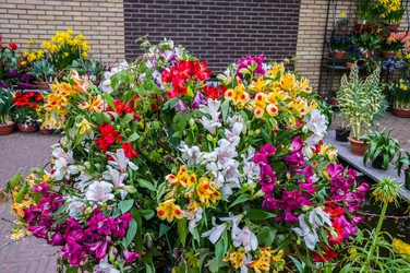 Similar image 11428415