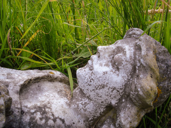 Similar image 11428419