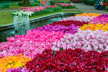 Similar image 11428492