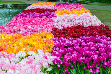 Similar image 11428493