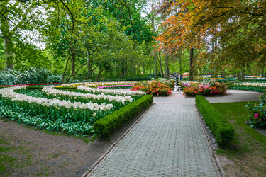 Similar image 11428498