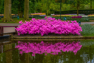 Similar image 11428430