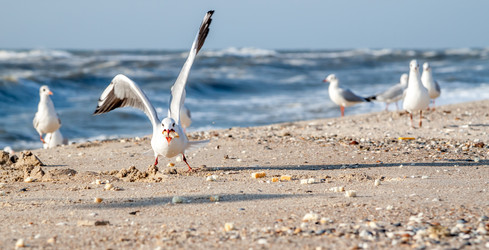 Similar image 11427233