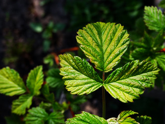 Similar image 11424616