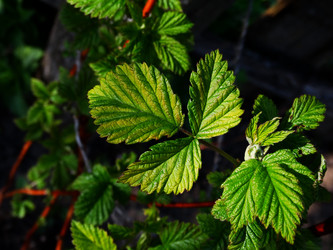 Similar image 11424617