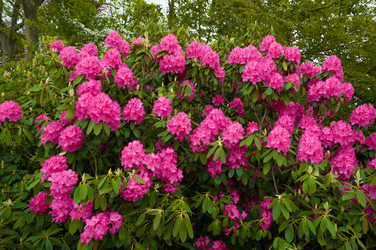 Similar image 11428431