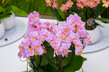 Similar image 11428503