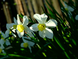 Similar image 11424641