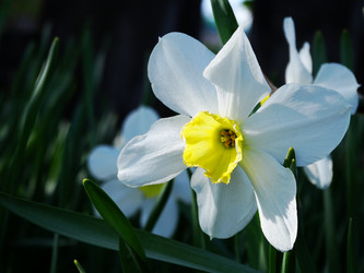 Similar image 11424642