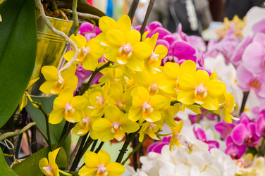 Similar image 11428362