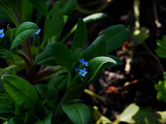 Similar image 11424618