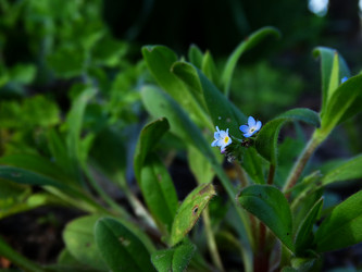 Similar image 11424620