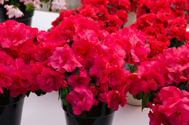 Similar image 11428379