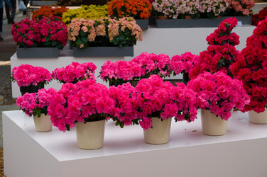 Similar image 11428380