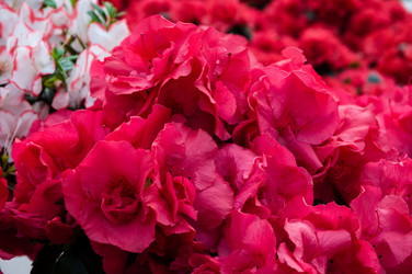 Similar image 11428381