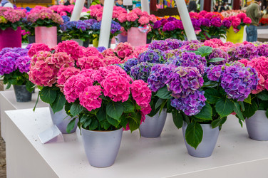 Similar image 11428516