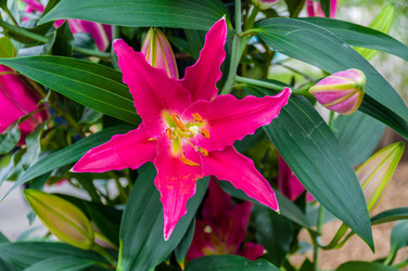 Similar image 11428520