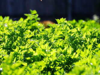 Similar image 11424622